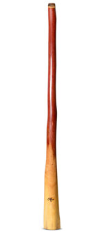Tristan O'Meara Didgeridoo (TM386)